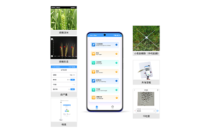 闵行区小麦表型检测仪IN-XM04